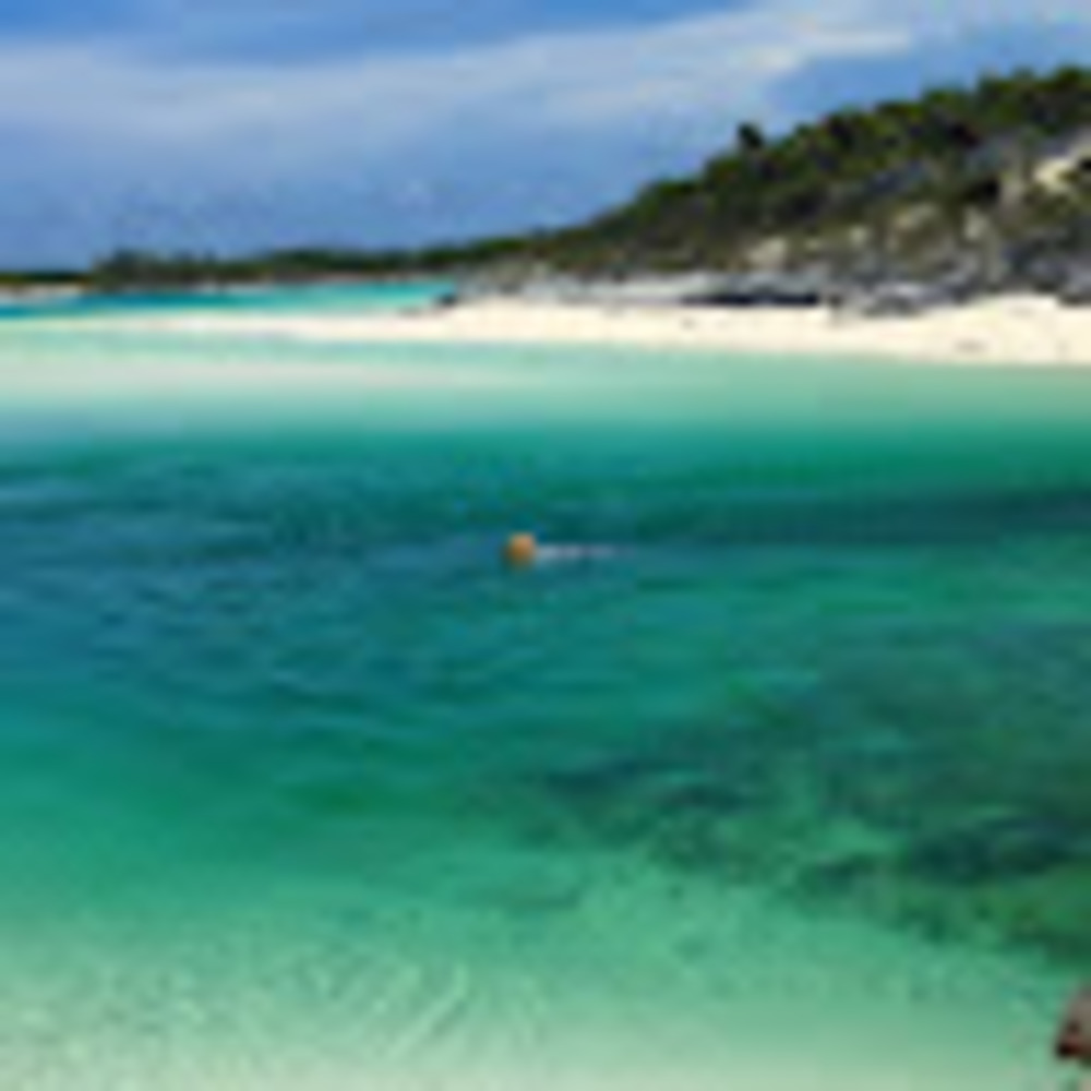 Meet your Posher, Thomas